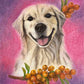 Happy dog III