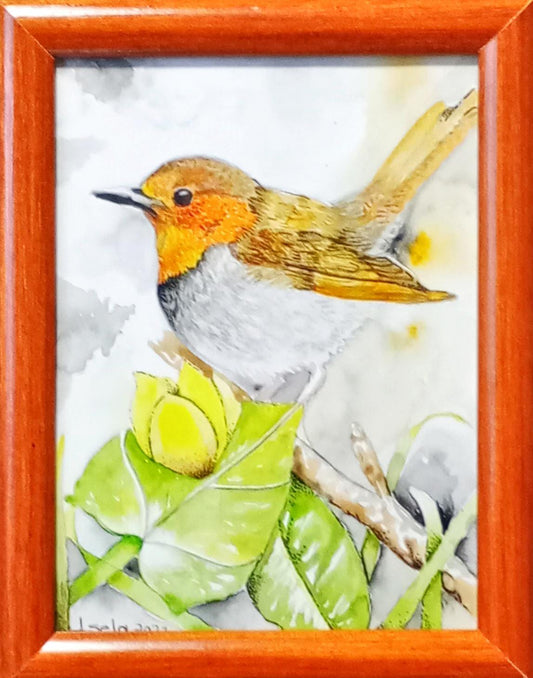 Pájaros colección de acuarelas