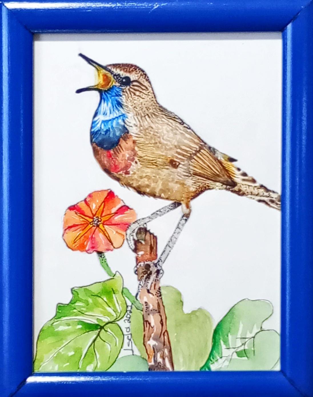 Colección de Acuarelas