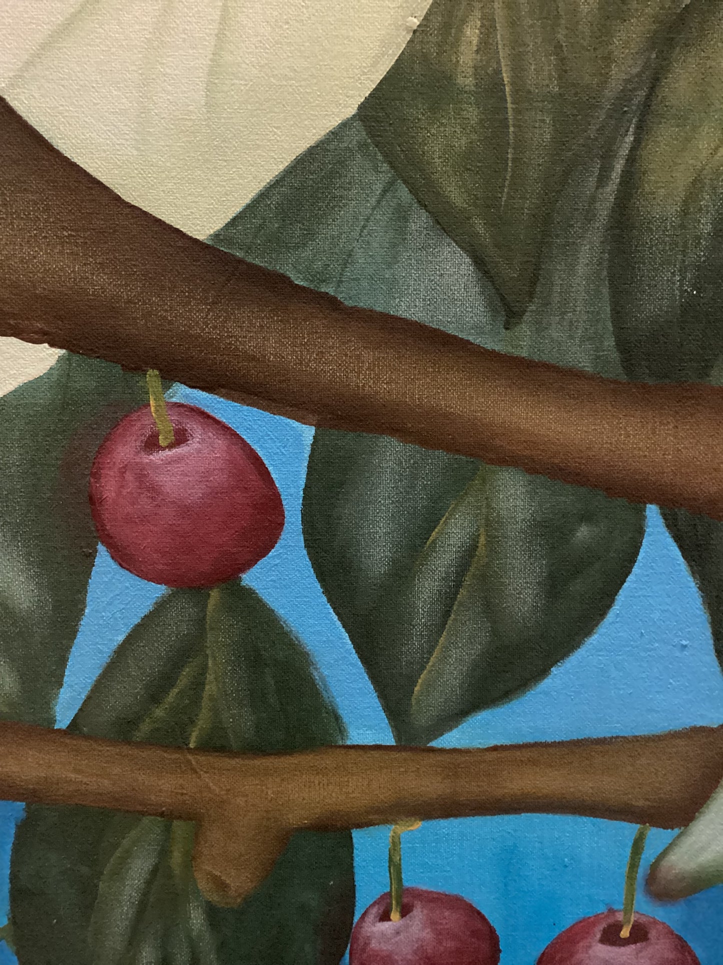 Las cerezas tropicales