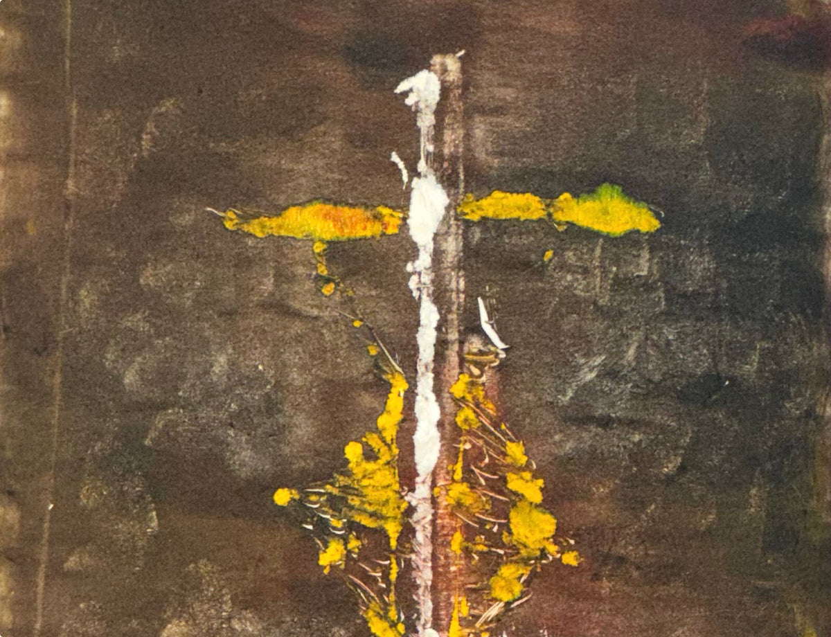 Reflejo