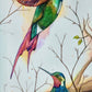 Familia de colibríes