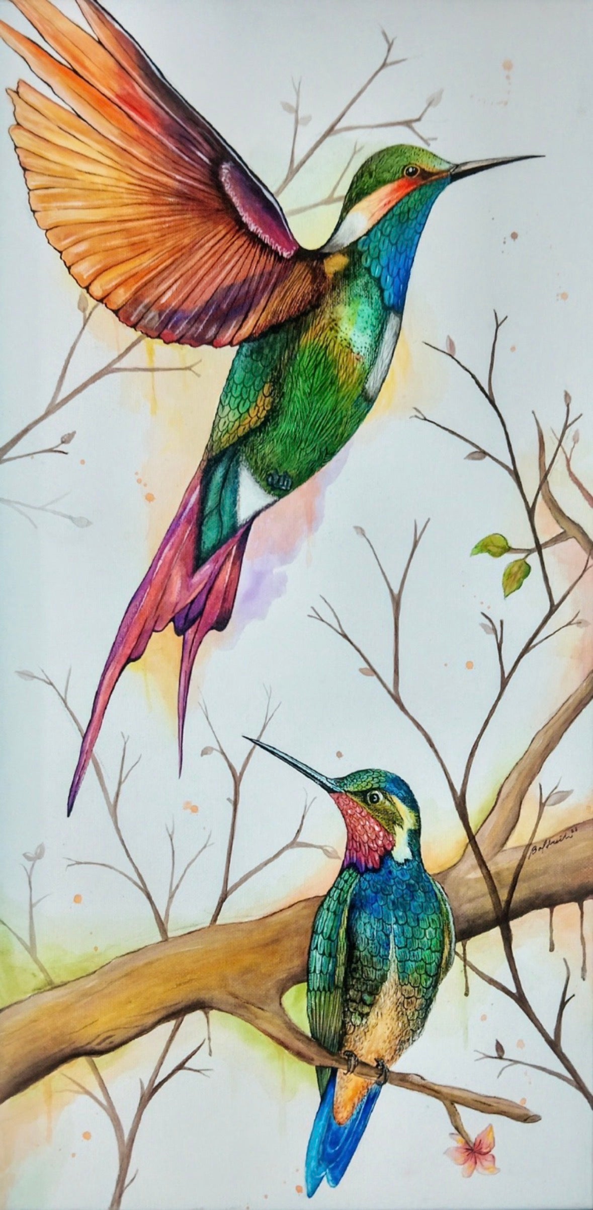 Familia de colibríes