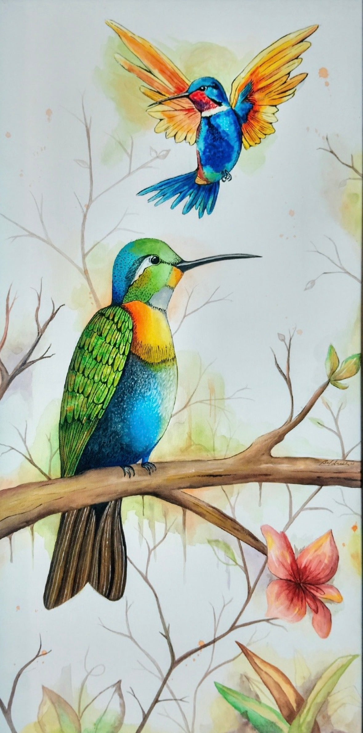 Familia de colibríes