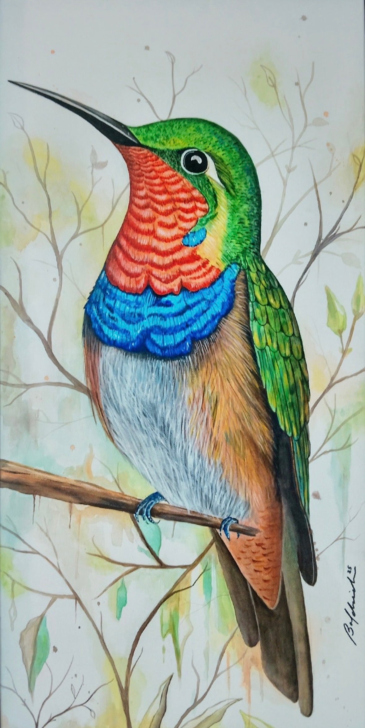 Familia de colibríes
