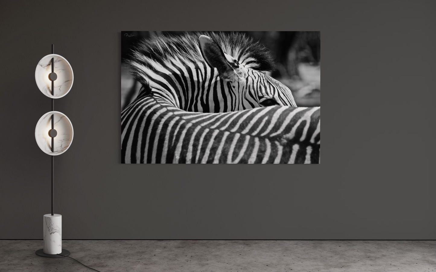SEXY ZEBRA