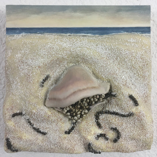 Sea Life