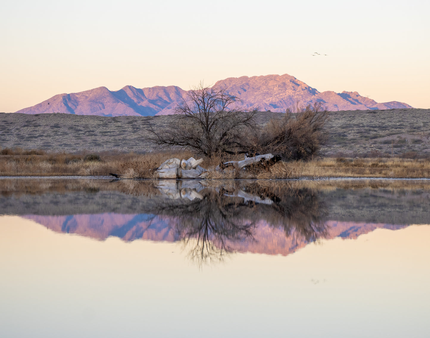 Colección:Reflejos:Uno