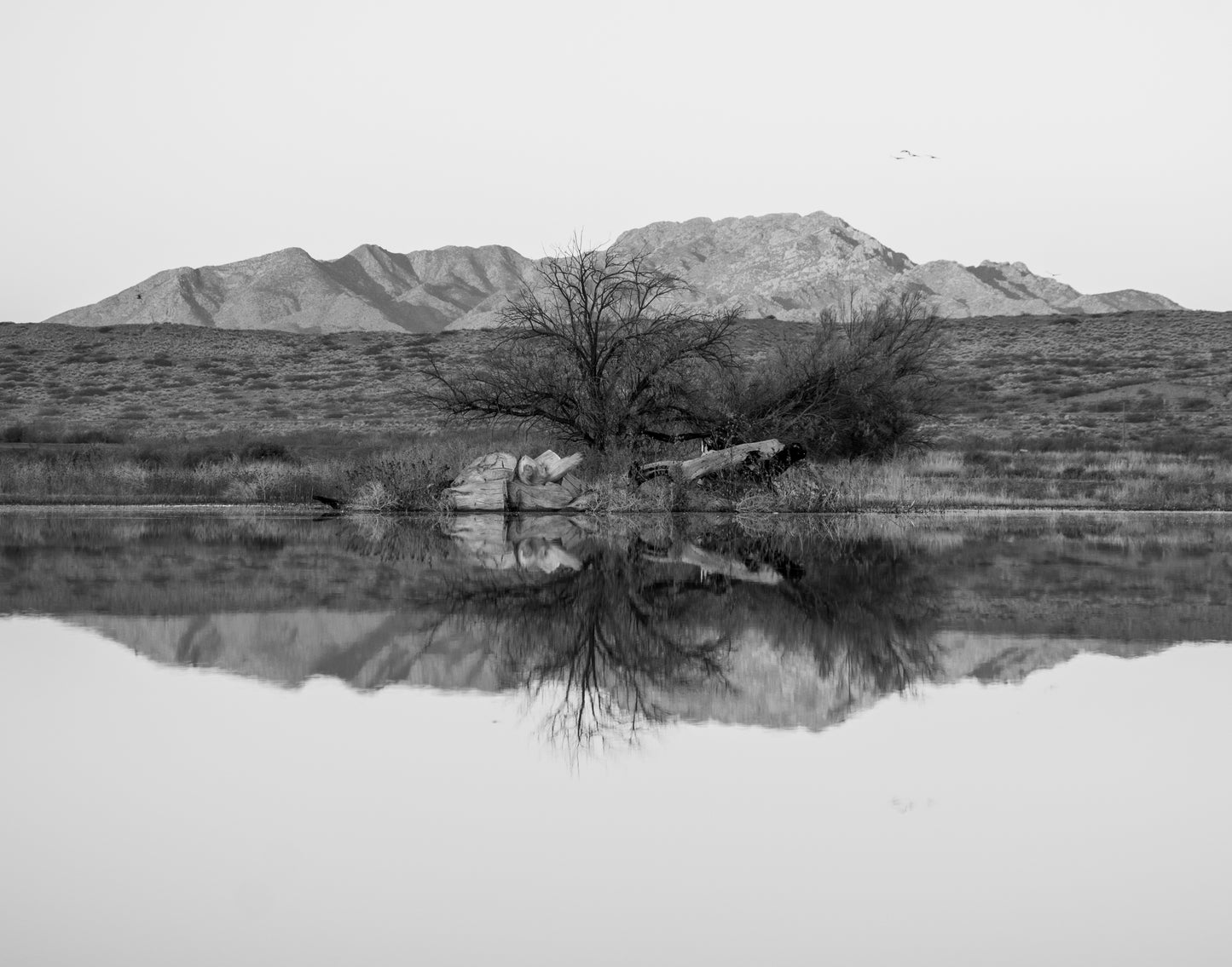 Colección:Reflejos:UnoB/N