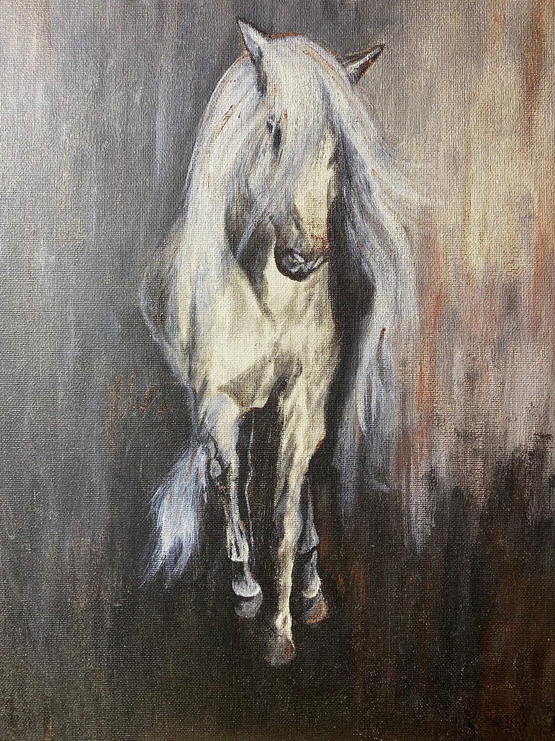 Caballo monocromático