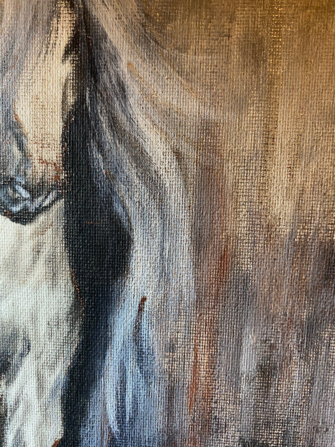 Caballo monocromático