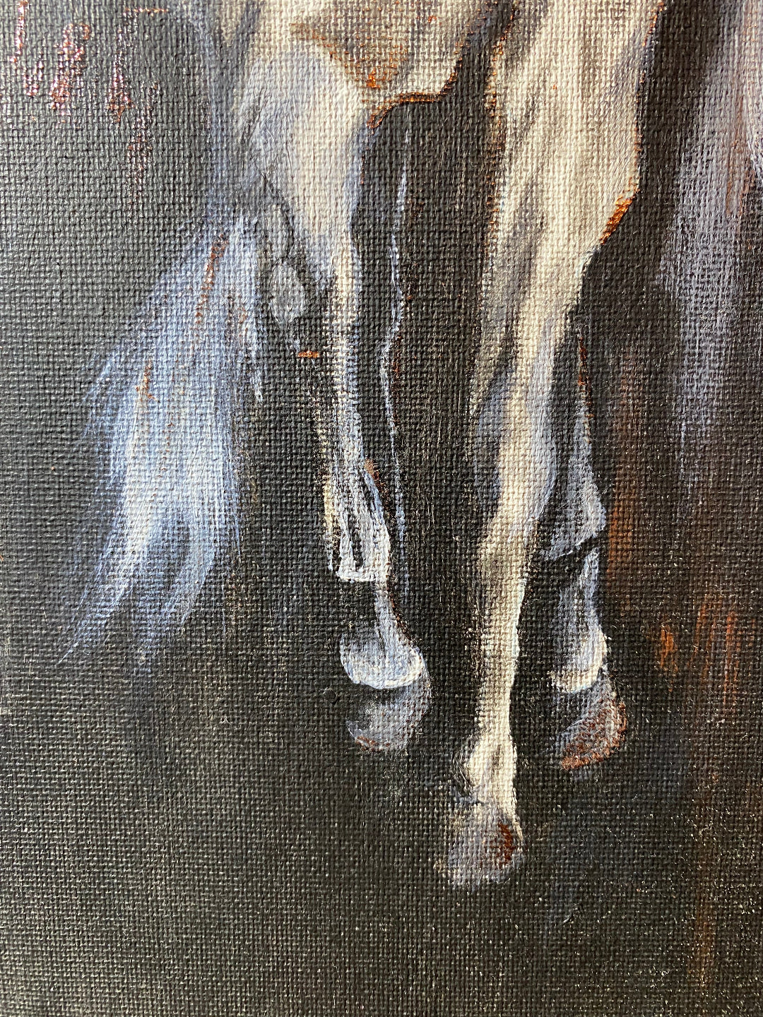 Caballo monocromático