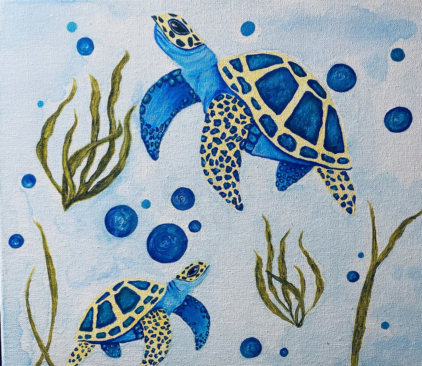 Vida azul: Tortugas en movimiento