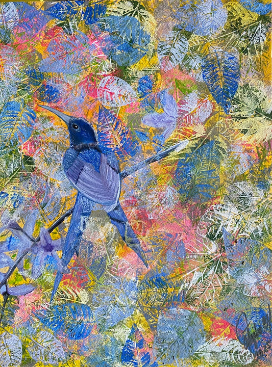 Colibrí golondrina