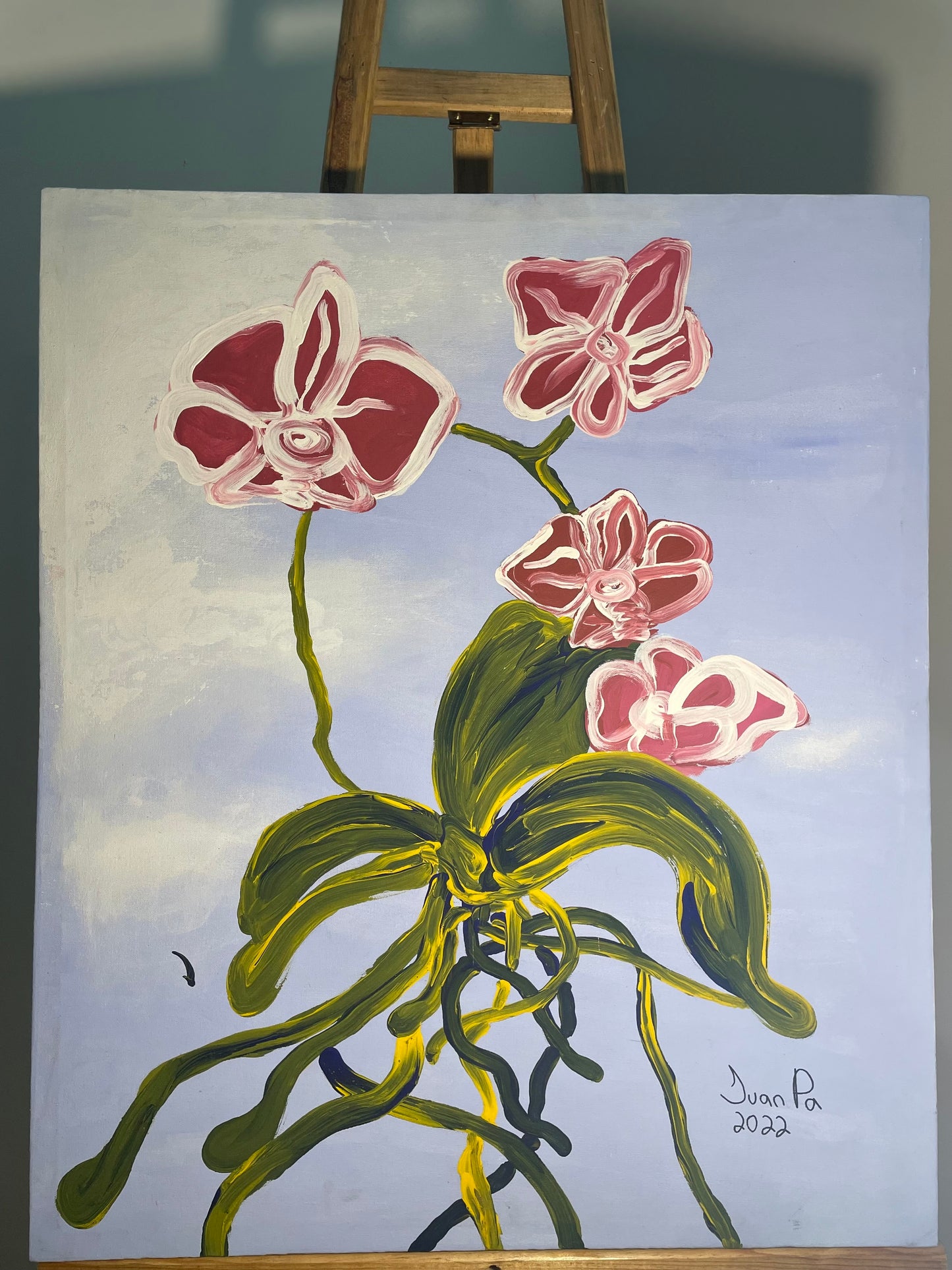 Las orquídeas