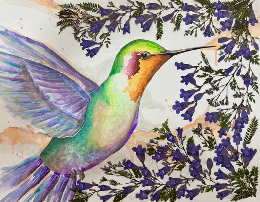 Colibrí con jacarandas