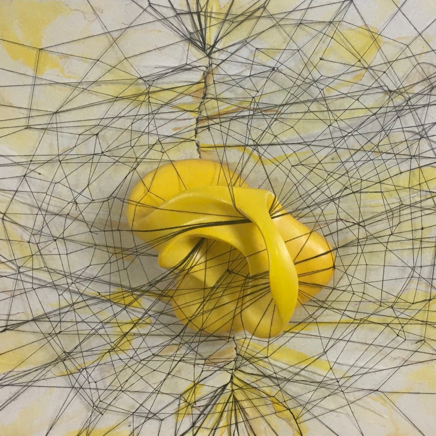 The Net
