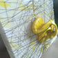 The Net