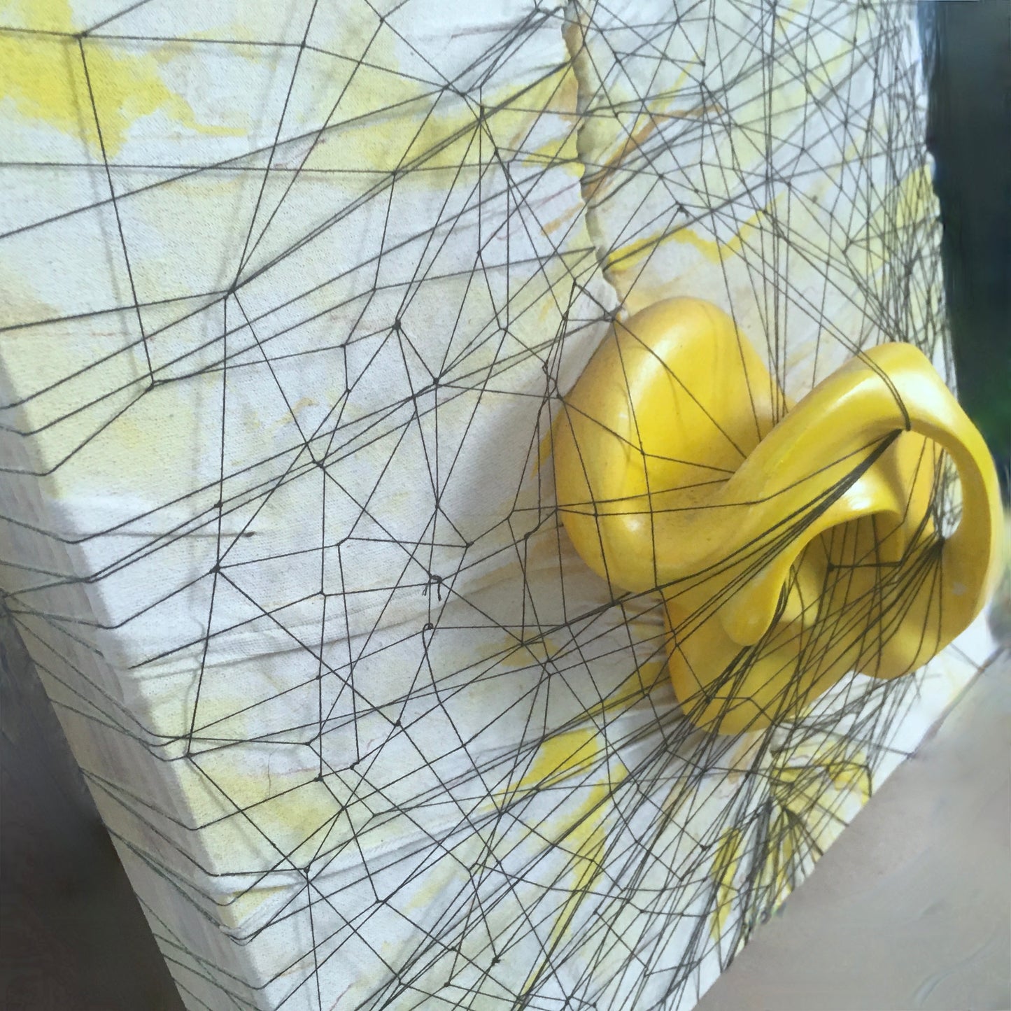 The Net