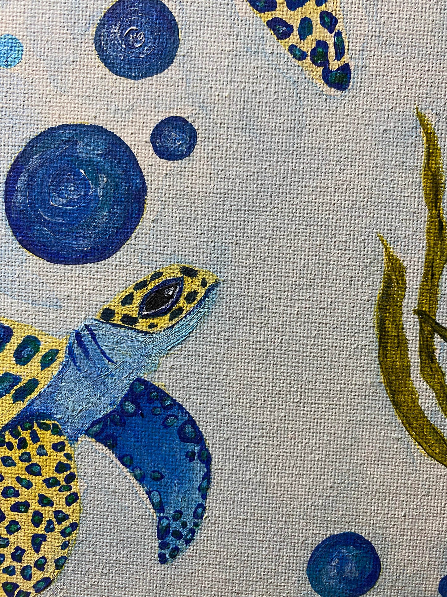 Vida azul: Tortugas en movimiento