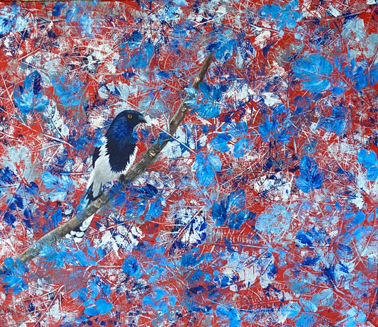Tangara urraca en azul