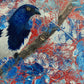 Tangara urraca en azul