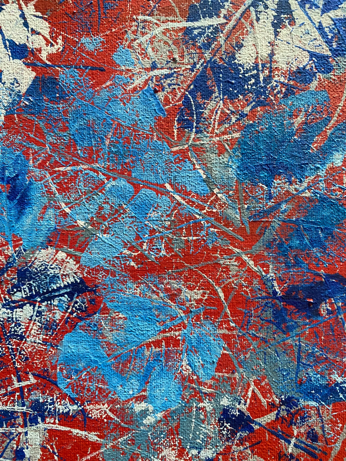 Tangara urraca en azul