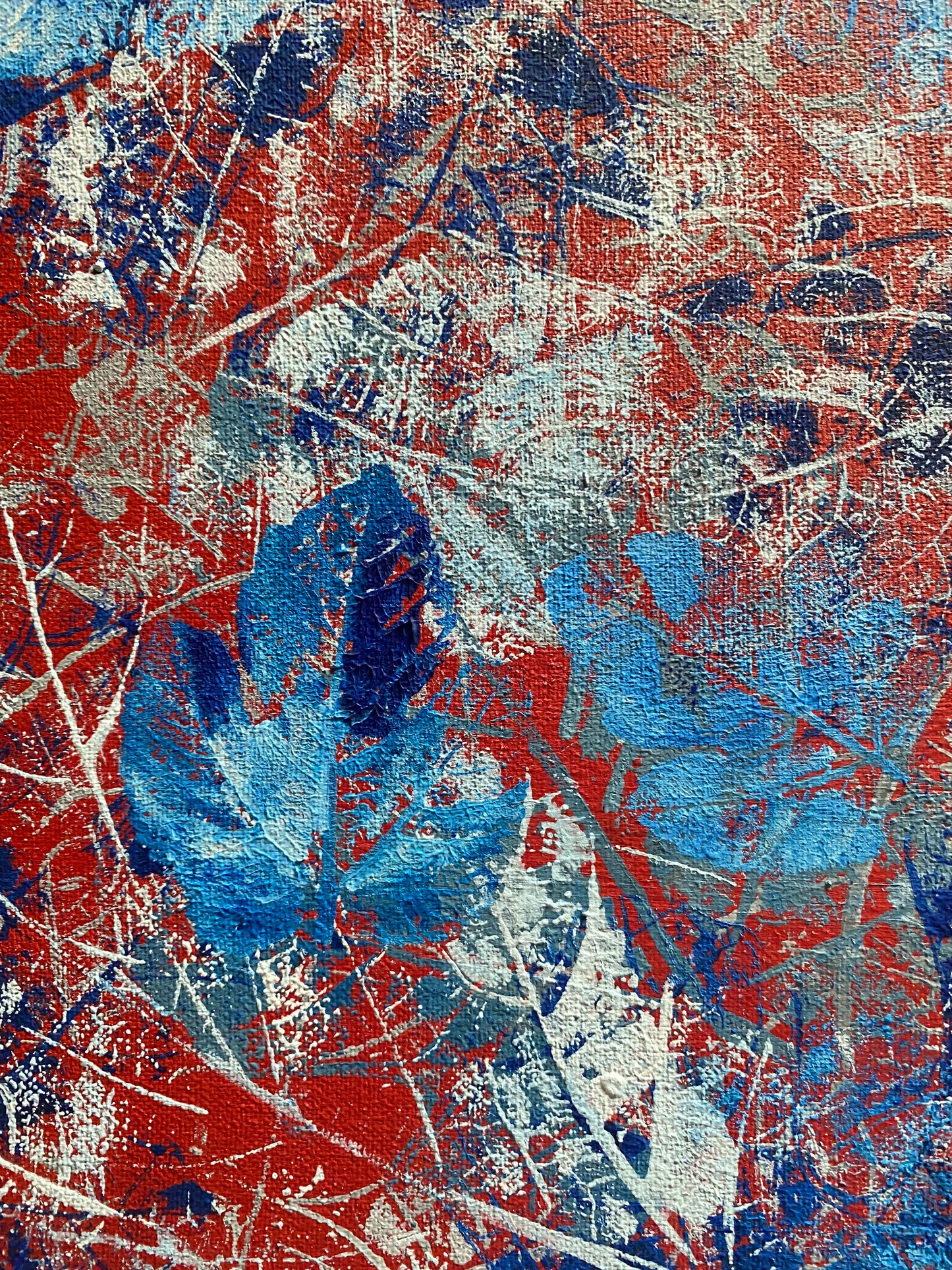 Tangara urraca en azul