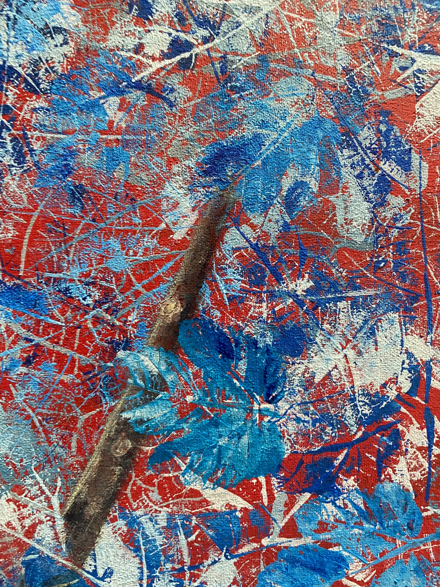 Tangara urraca en azul