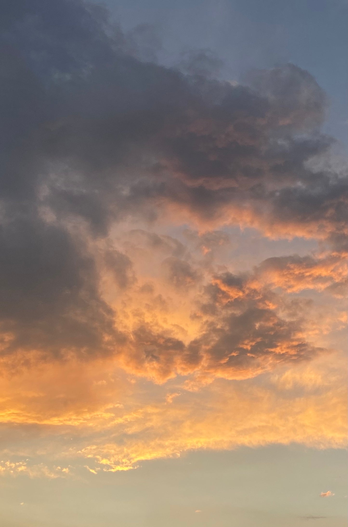 Yo te cielo