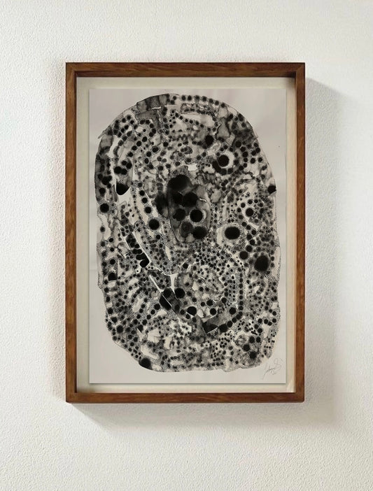 A Brief History of Time