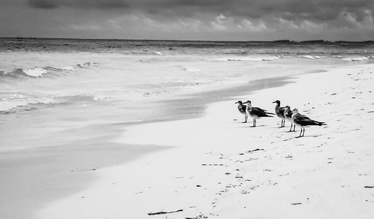 Día en la playa