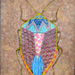Insecto Arena