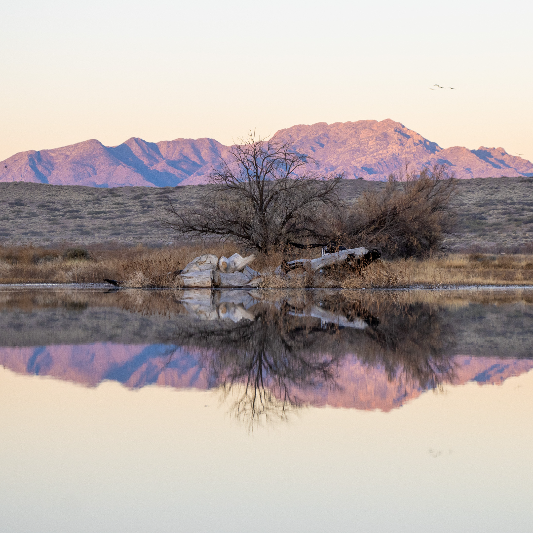 Colección:Reflejos:Uno