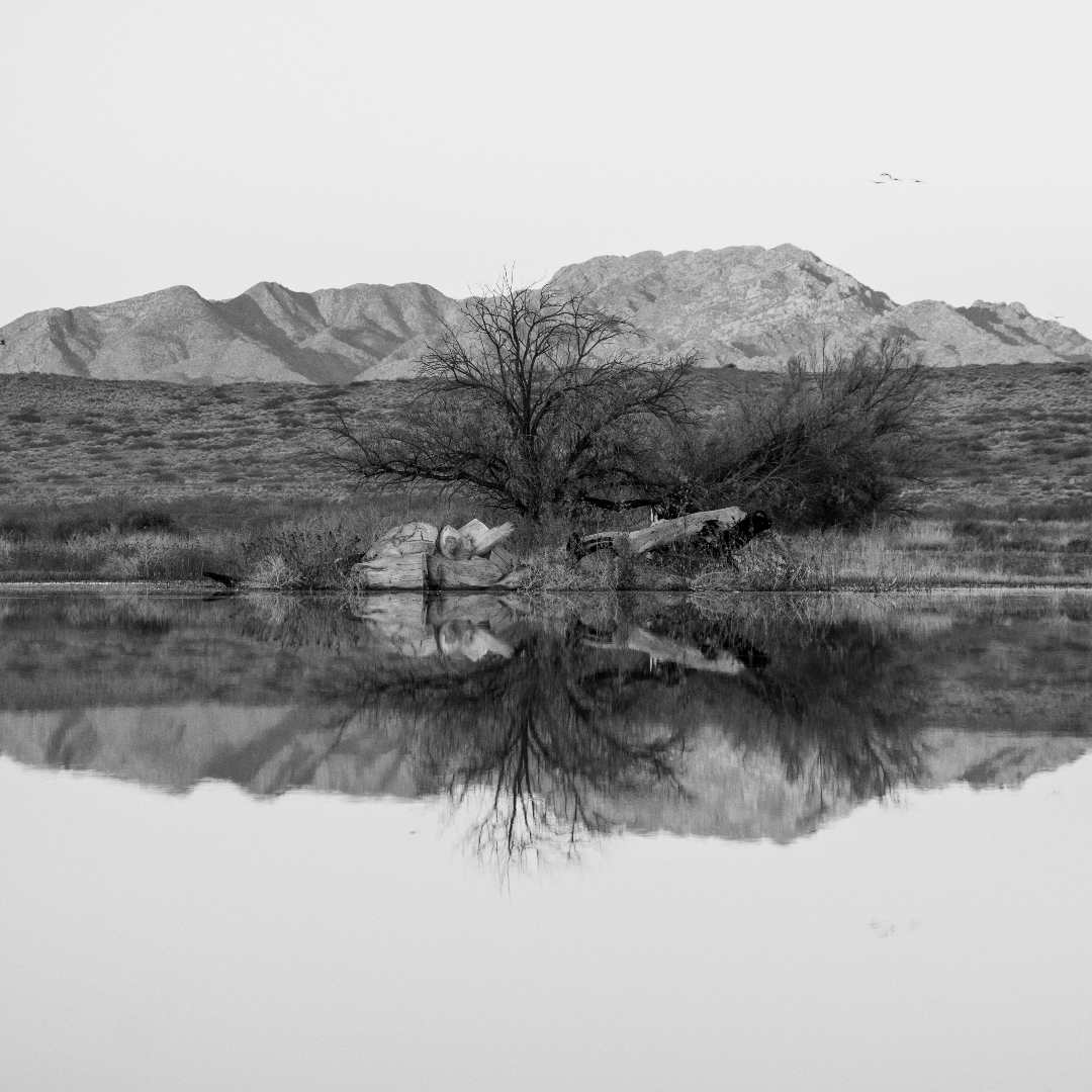 Colección:Reflejos:UnoB/N