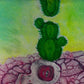 Silencio de cactus
