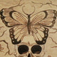Mariposa De La Muerte