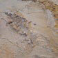 Estratos Geológicos