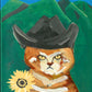 Gato Norteño