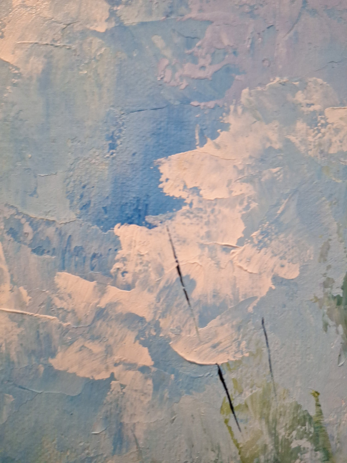Caminito de la selva