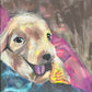 Perro 1