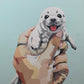 A Handful of Ocean (The Seal)