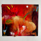 Exploraciones 5