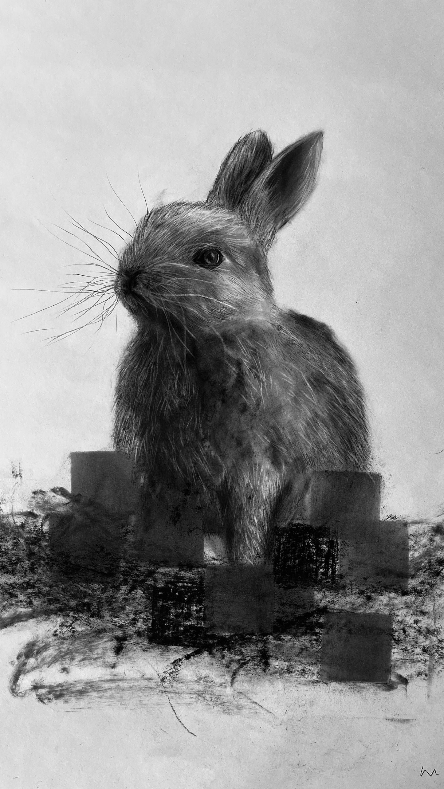 "Un instante tranquilo antes de que todo vuelva a moverse"