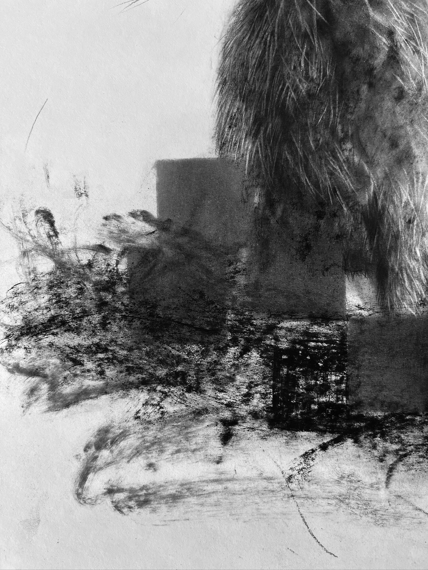 "Un instante tranquilo antes de que todo vuelva a moverse"