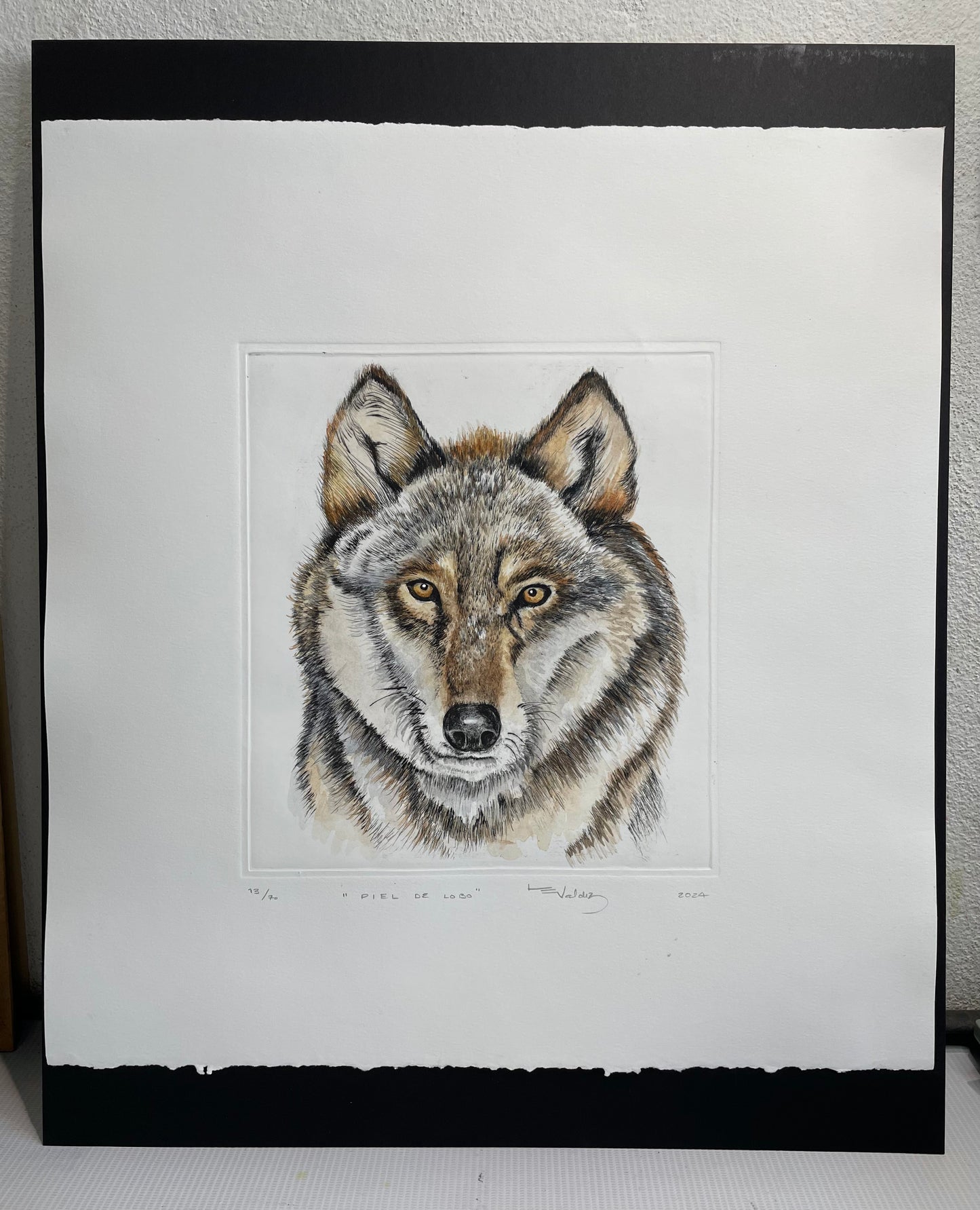 "Piel de lobo" acuarela