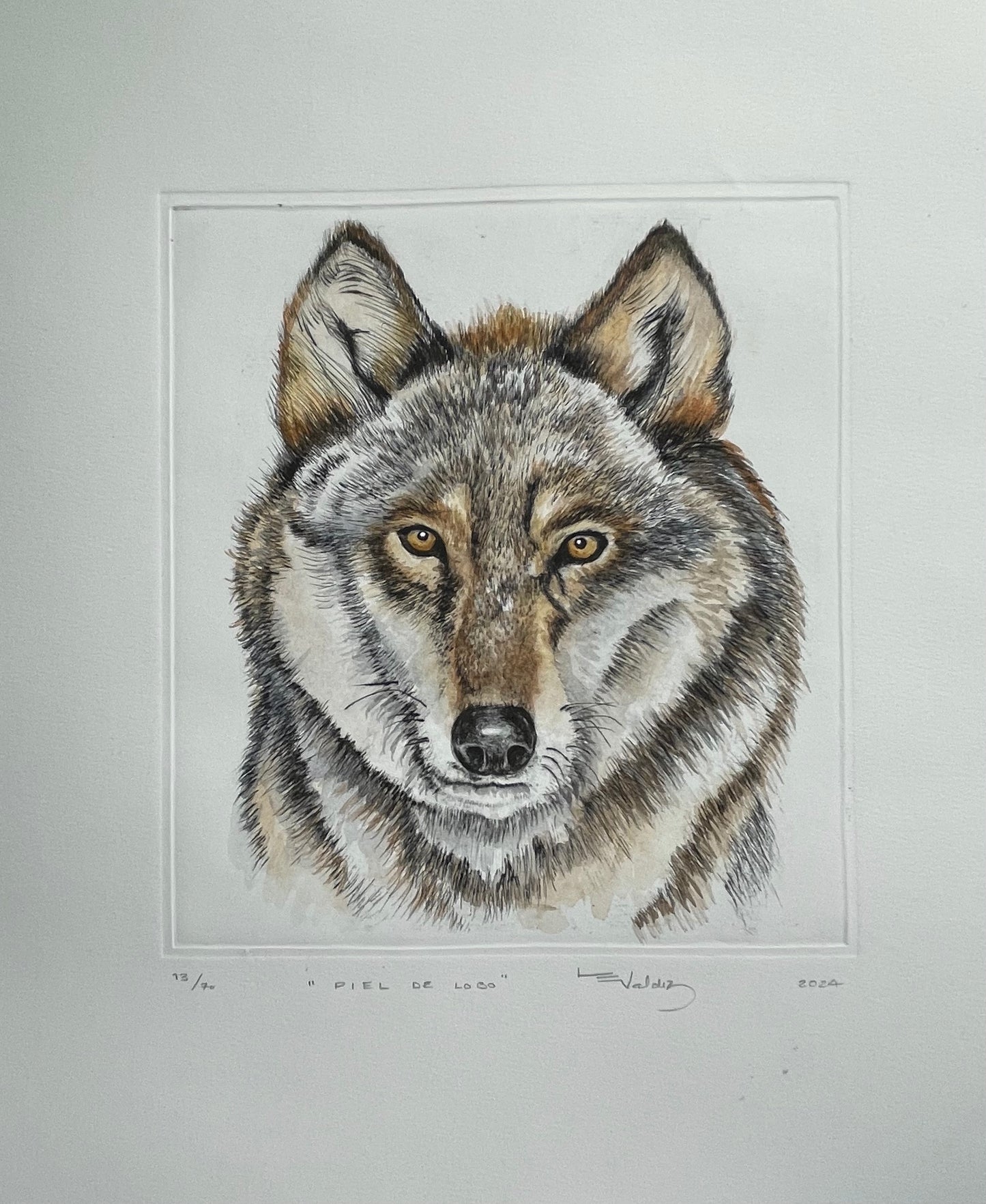 "Piel de lobo" acuarela