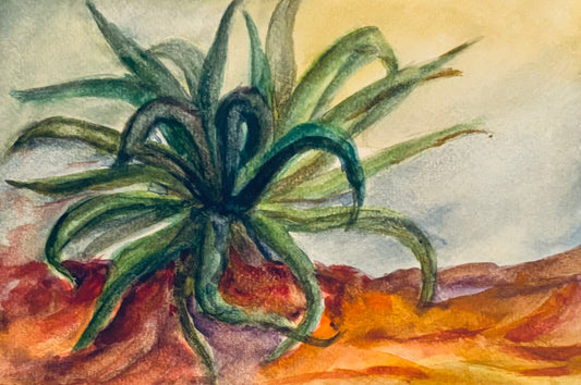 Maguey