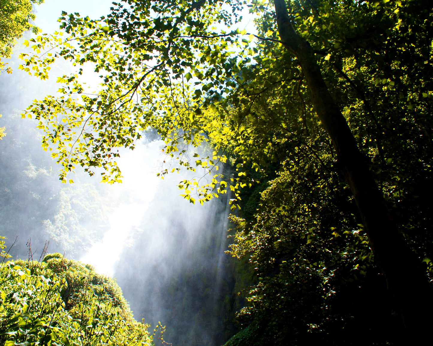 Rayo de luz