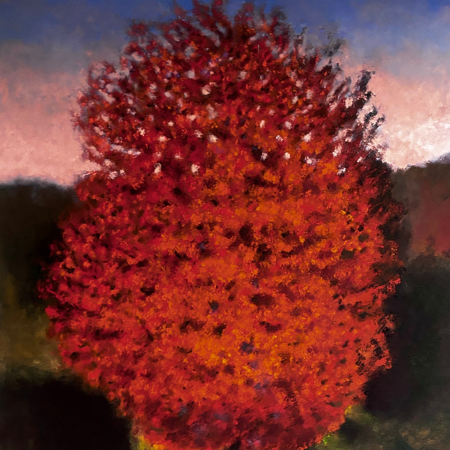 Árbol rojo